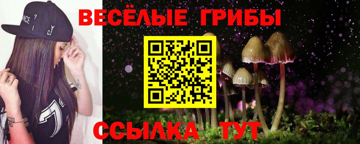 Малоярославец  купить наркоту  Вход с VPN  Галлюциногенные грибы Cubensis 